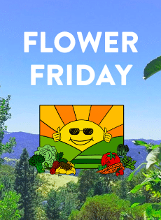 Happy Day Farms - Flower Friday