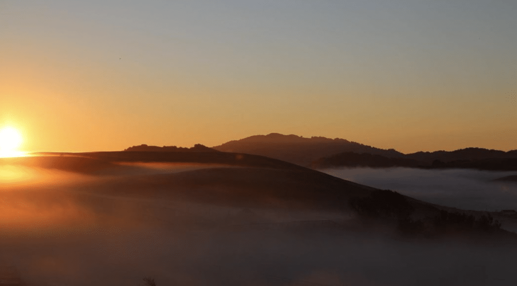 Sonoma Hills Farm