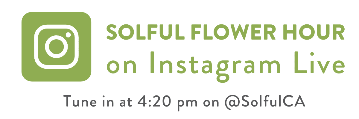 Flower Hour on IG Live