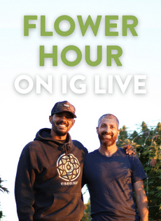 Flower Hour on IG Live