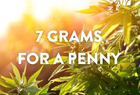 7G for a penny
